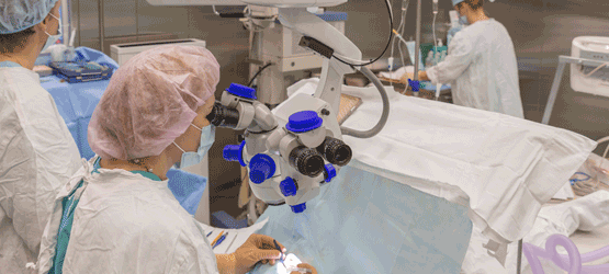 SL-Fotolia_86035286_XL-555x300